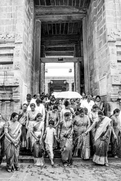 Abilesh & Archana — photo 6